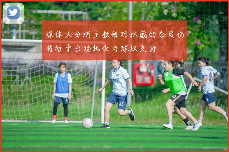 媒体人分析主教练对林葳的态度仍将给予出场机会与球权支持